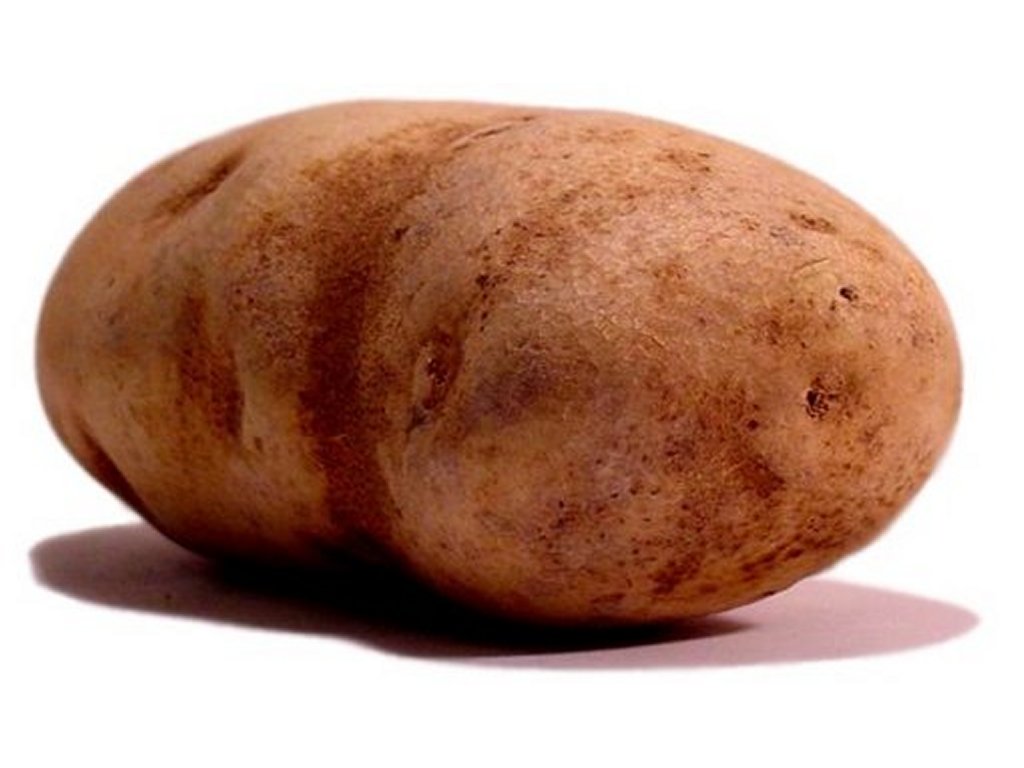 potato