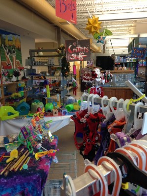 Store Photo PL