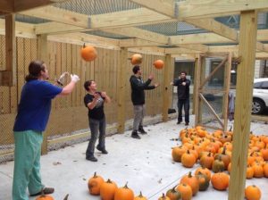 unloadingpumpkins