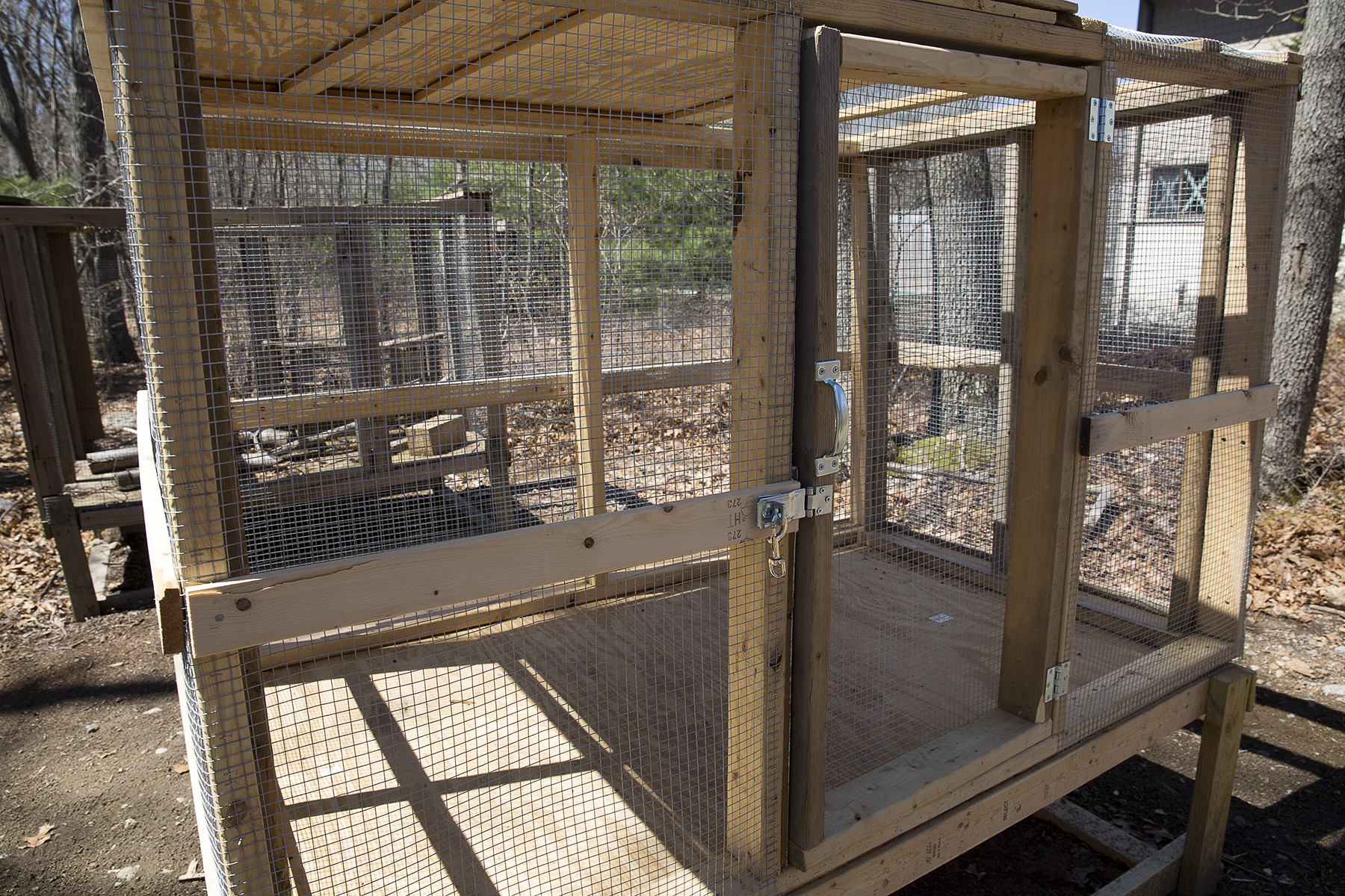 Eagle Scout Aidan Builds Soft Release Caging for Mammals!!