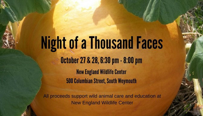 Come to Night Of A Thousand Faces 2017!